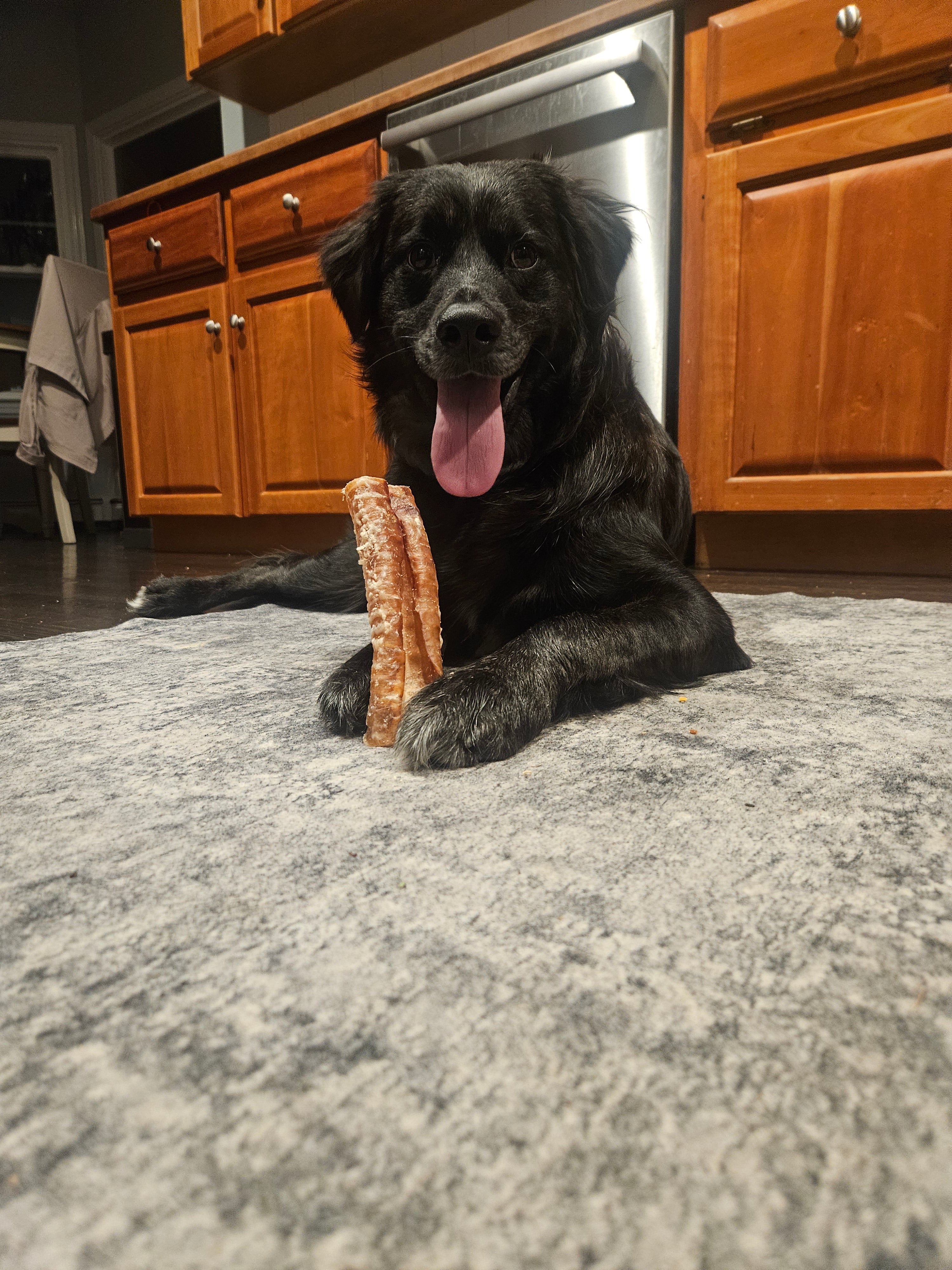 BeLoved Beef Trachea - Single Ingredient Dog Chews 2 Pack