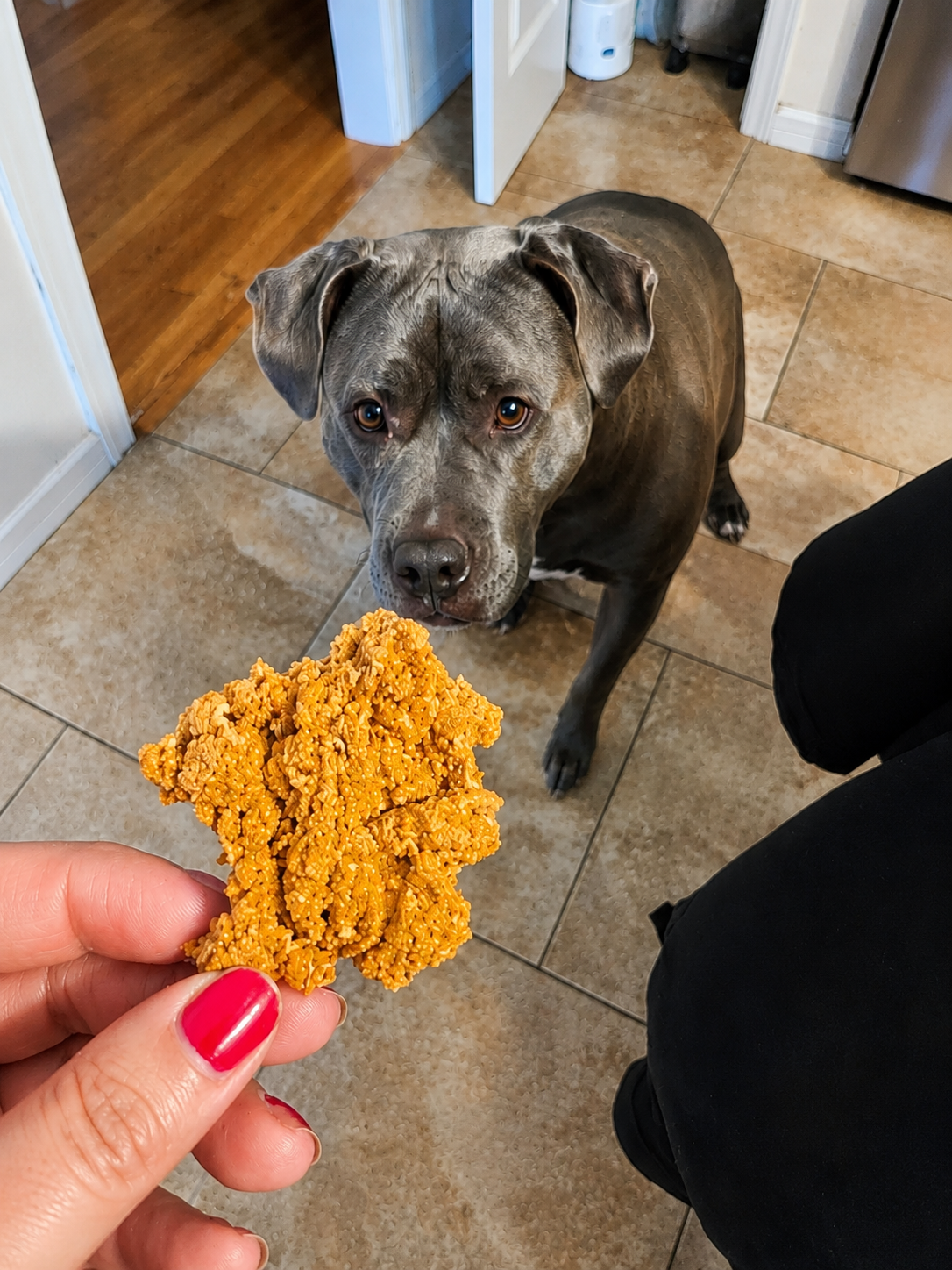 BeLoved Lobster - Single Ingredient Dog Treats 2 oz